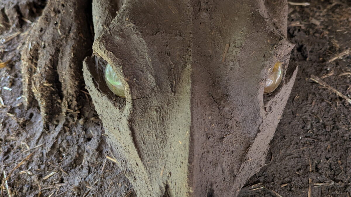Cob Ovens — natural building