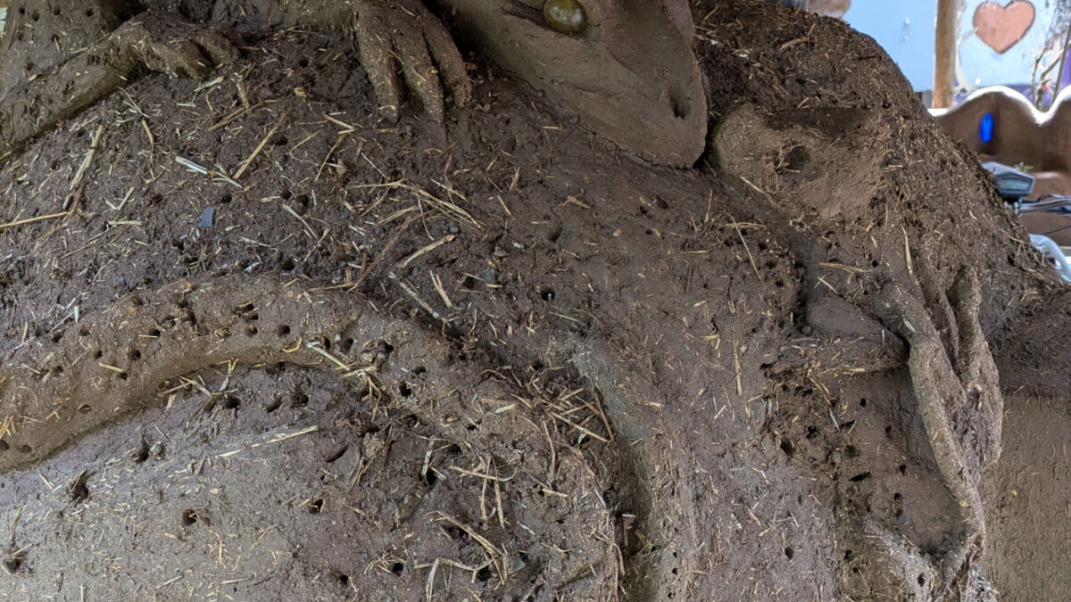 Cob Ovens — natural building